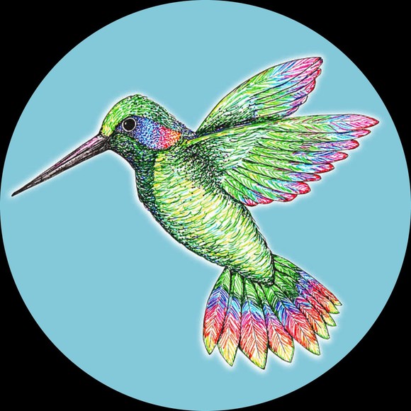 xohummingbird